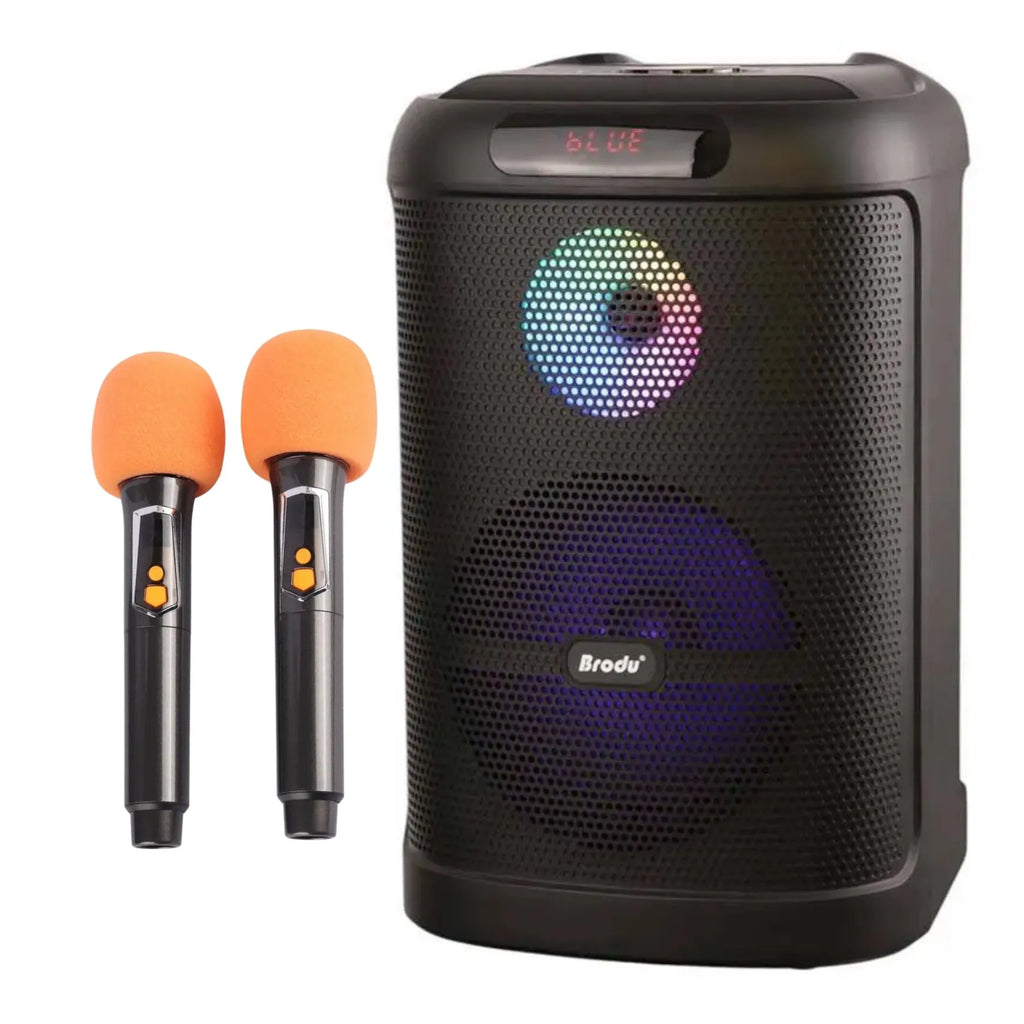 Brodu BTS-2101 Bluetooth Karaoke Speaker