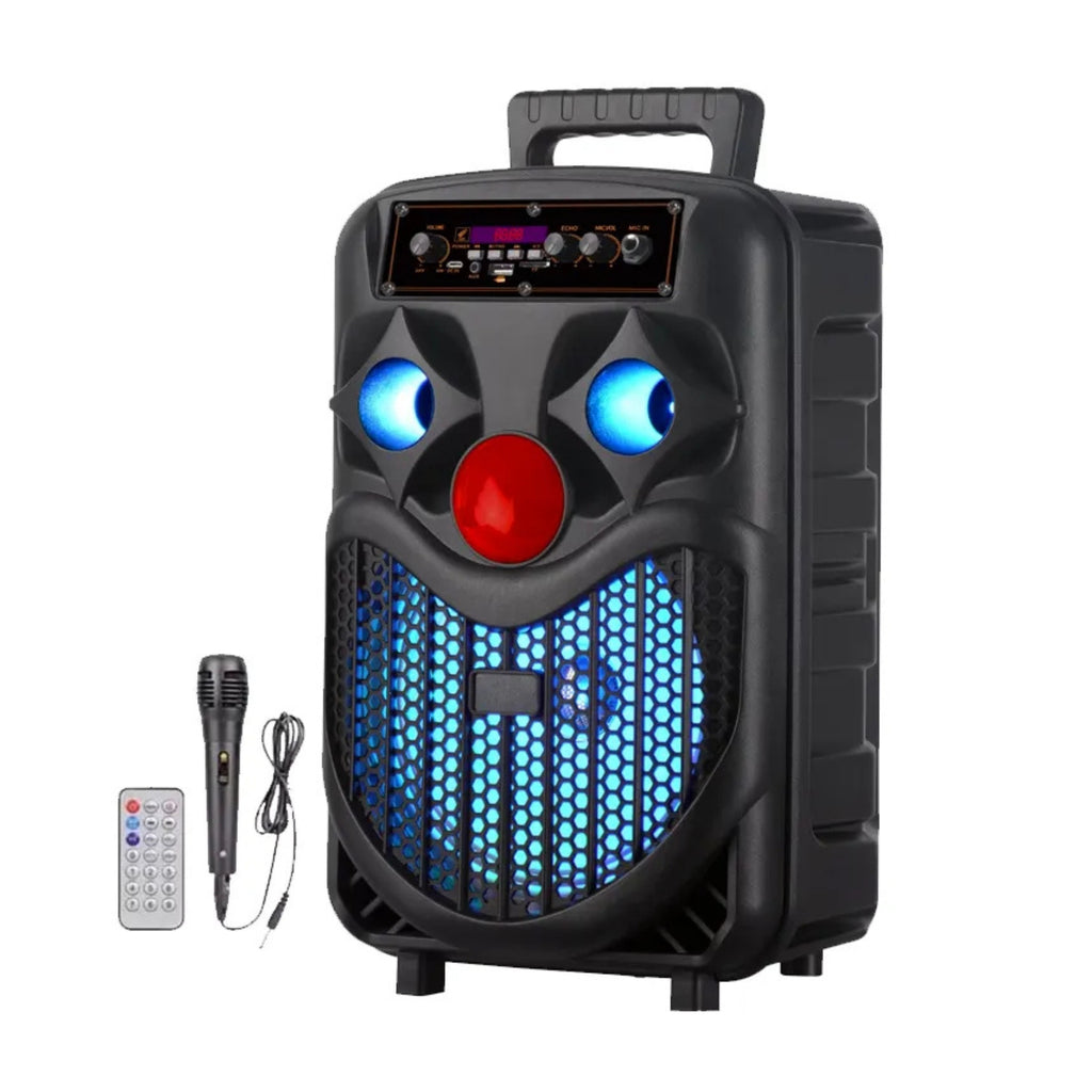 NDR-P66 Bluetooth Karaoke Speaker