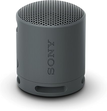 Sony XB100 Wireless Speaker